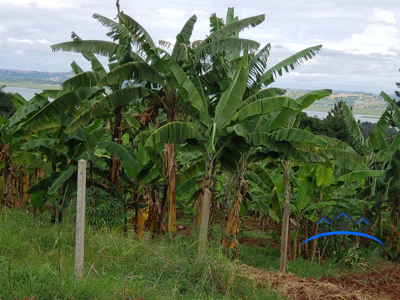 Residential Land for sale in Kigo Wakiso