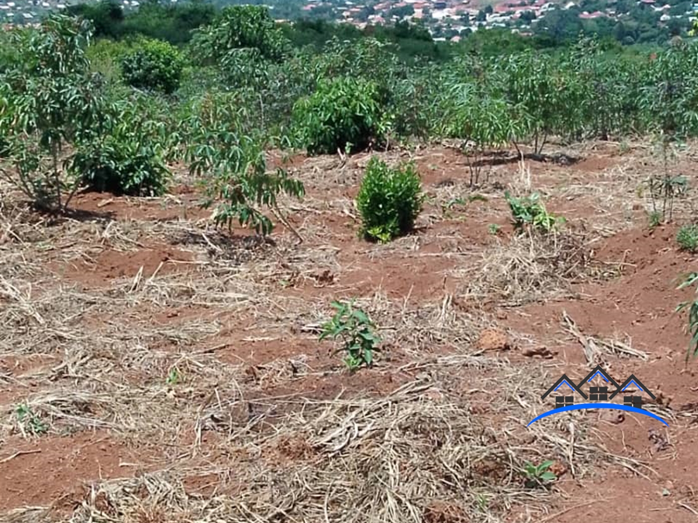 Residential Land for sale in Kiyindi Buyikwe