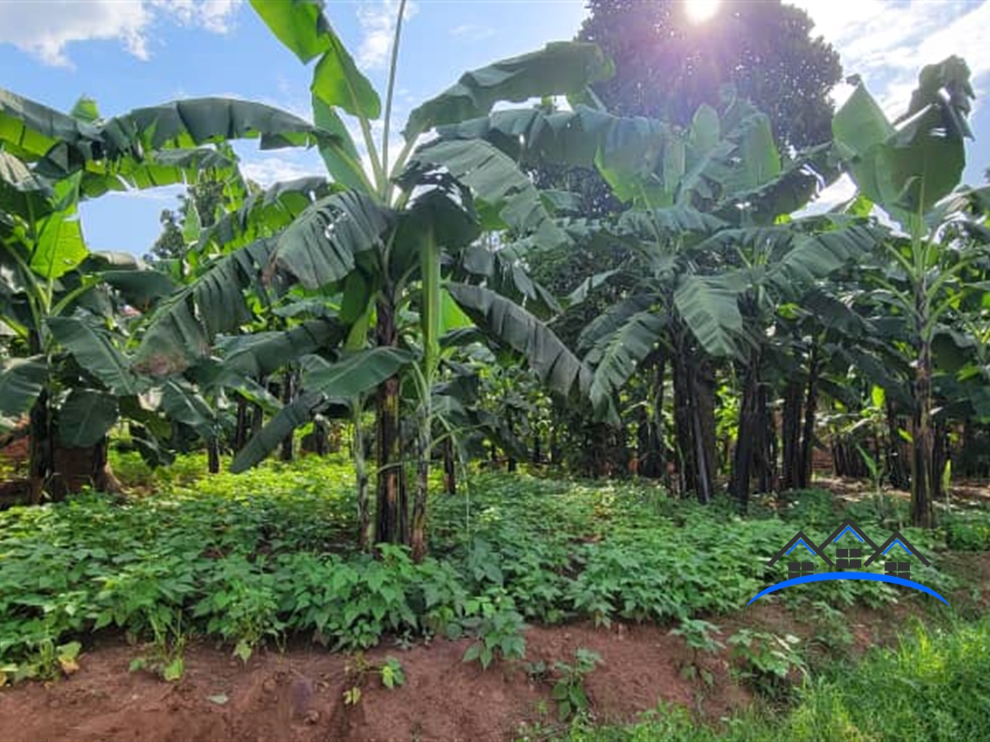 Residential Land for sale in Kira Wakiso