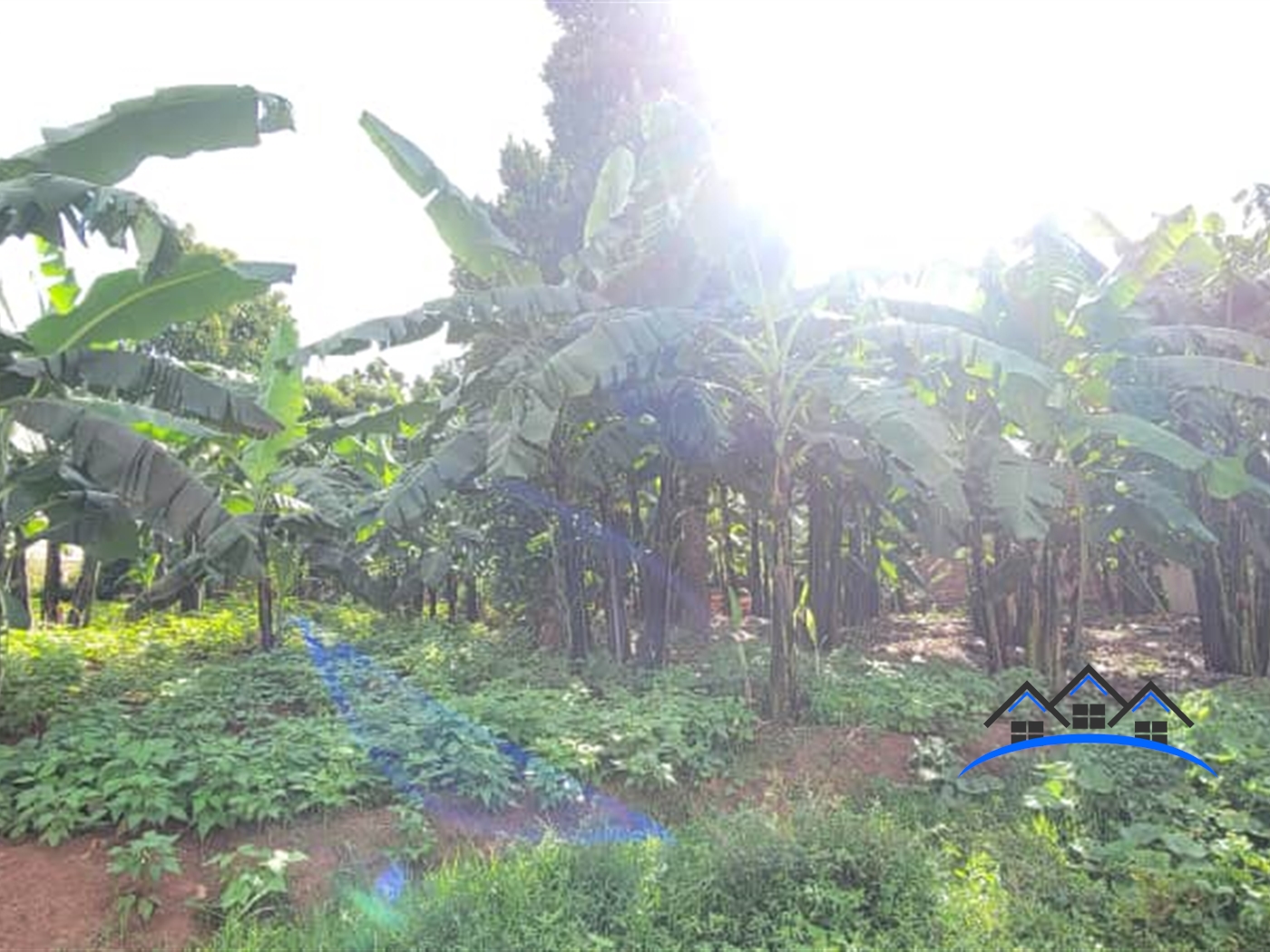 Residential Land for sale in Kira Wakiso