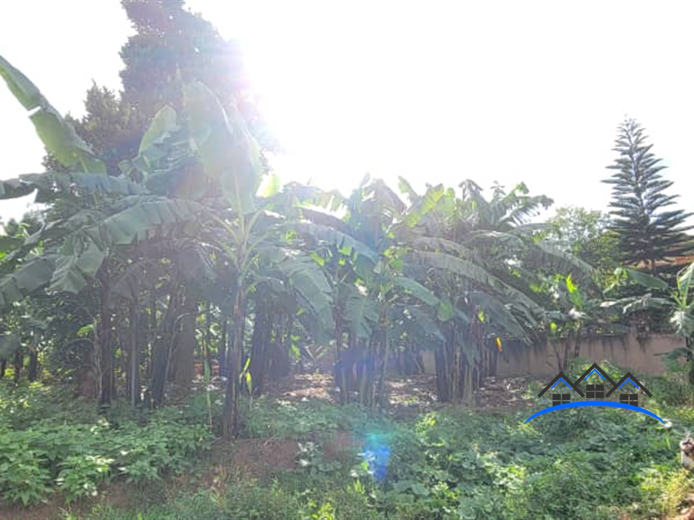 Residential Land for sale in Kira Wakiso