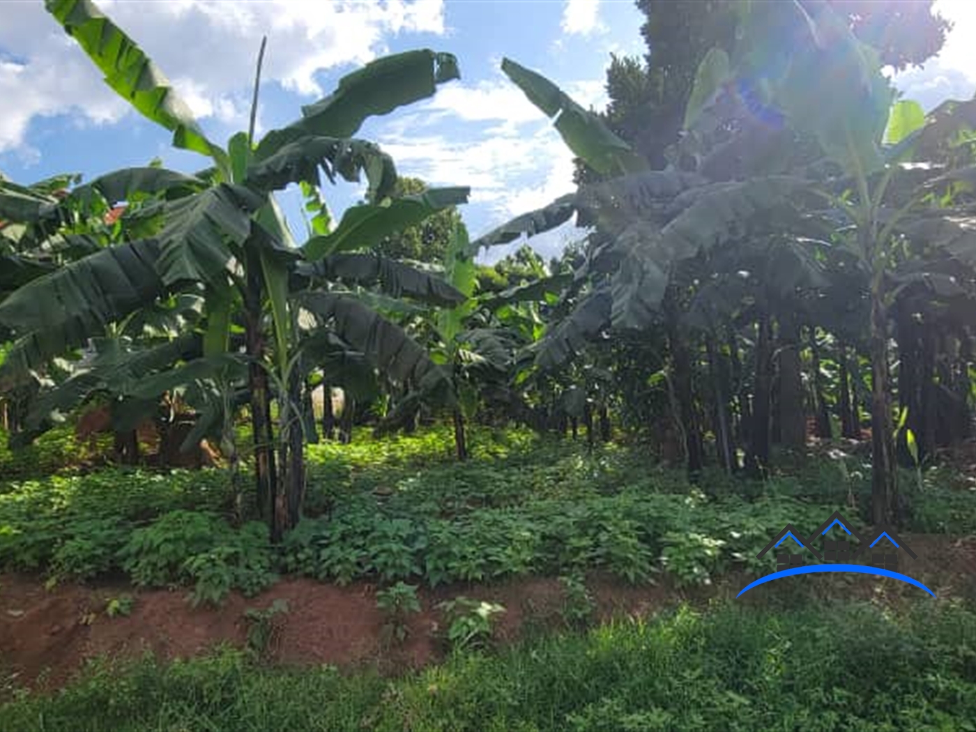 Residential Land for sale in Kira Wakiso