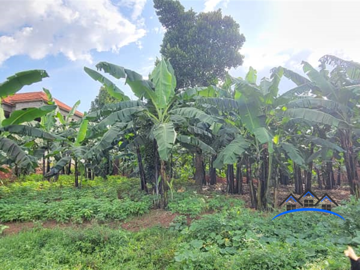 Residential Land for sale in Kira Wakiso