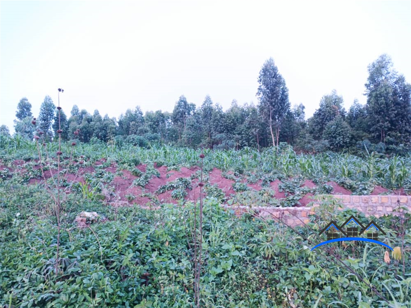 Commercial Land for sale in Buwambo Wakiso