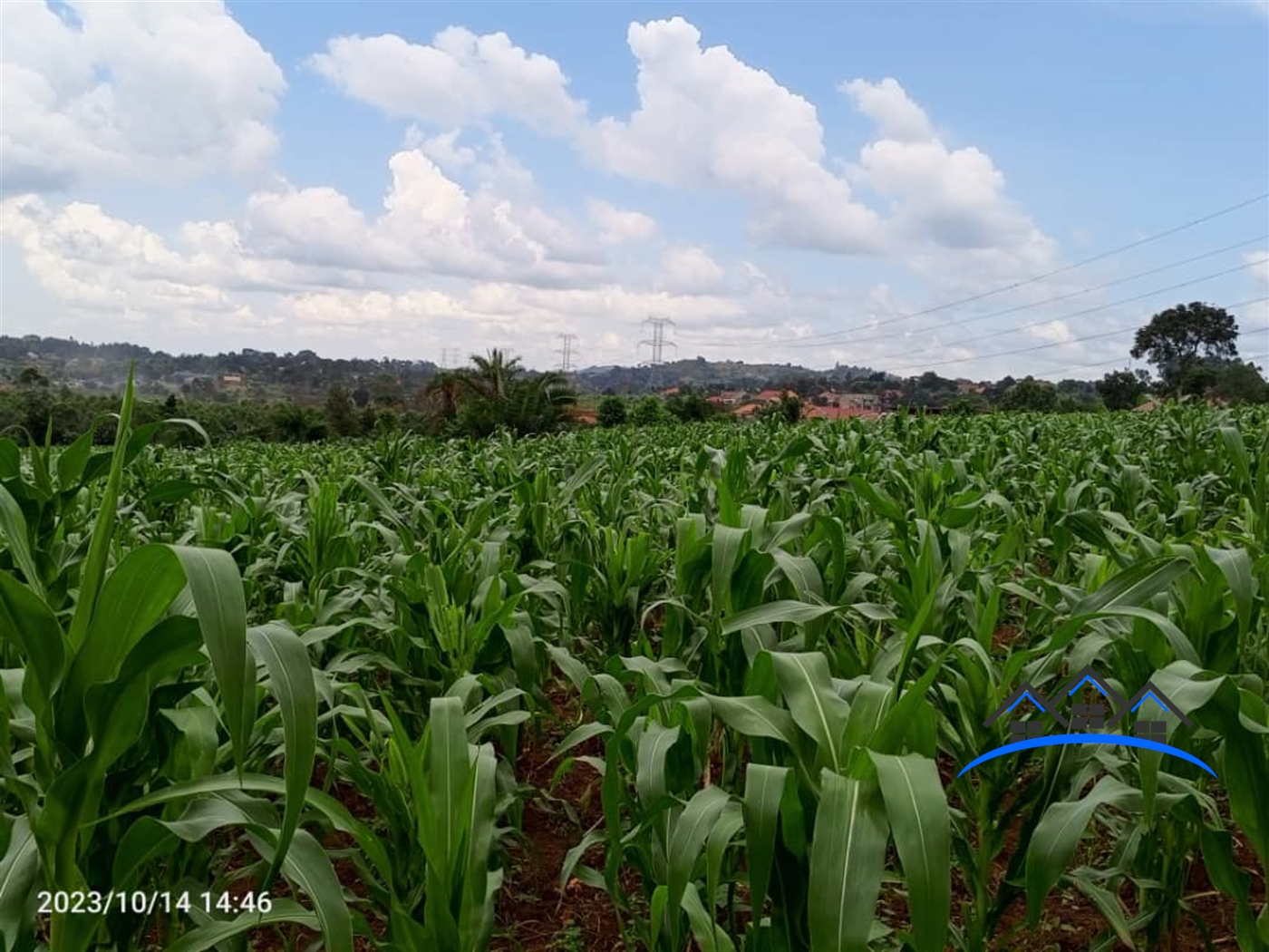 Residential Land for sale in Matugga Wakiso