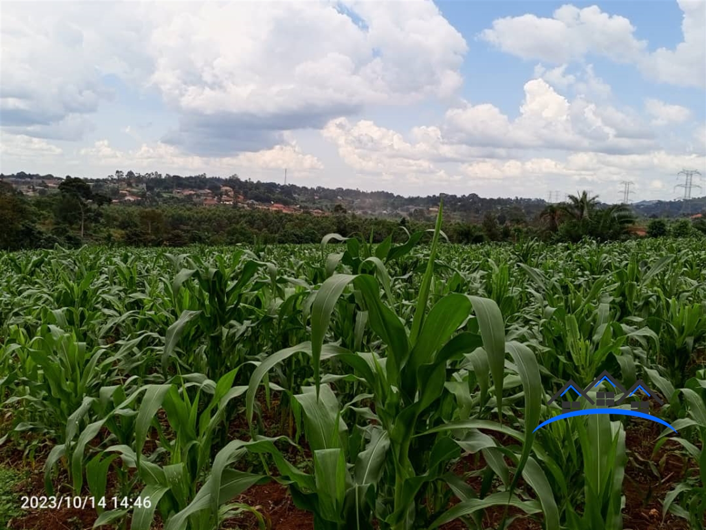 Residential Land for sale in Matugga Wakiso