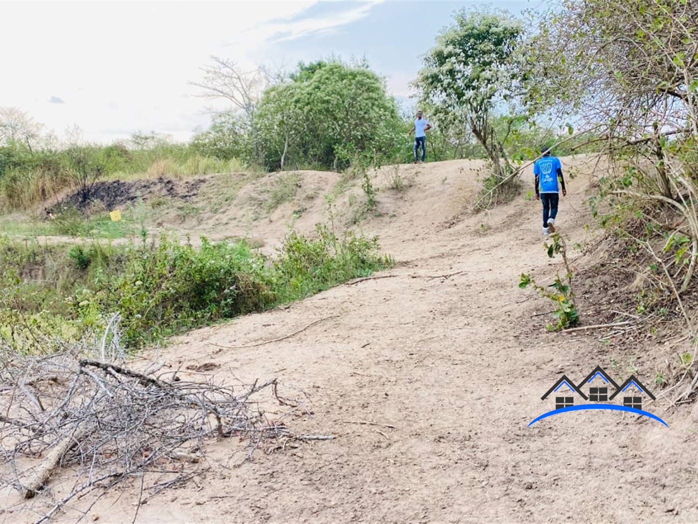 Farm for sale in Bamunaanika Luweero