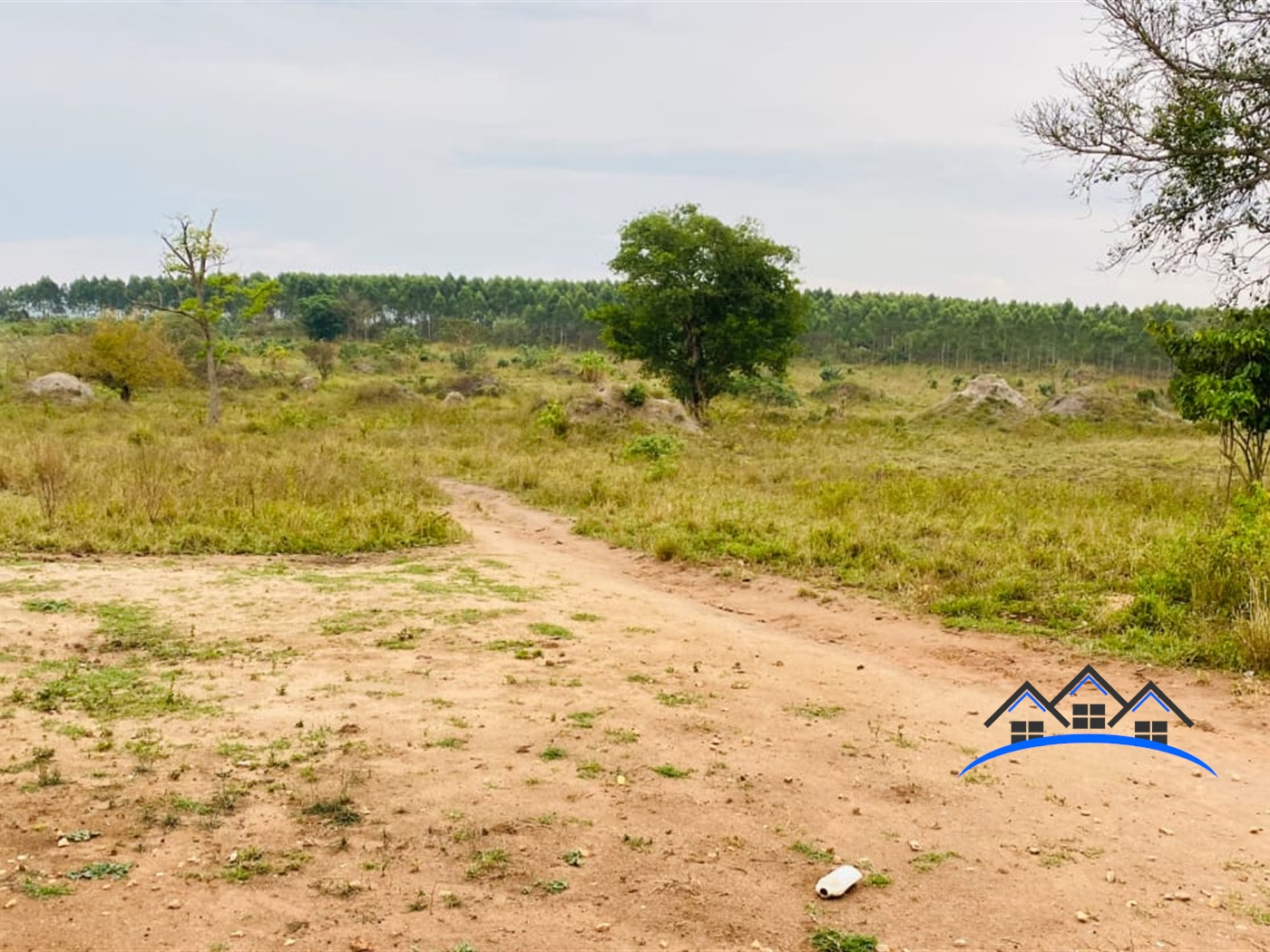 Farm for sale in Bamunaanika Luweero