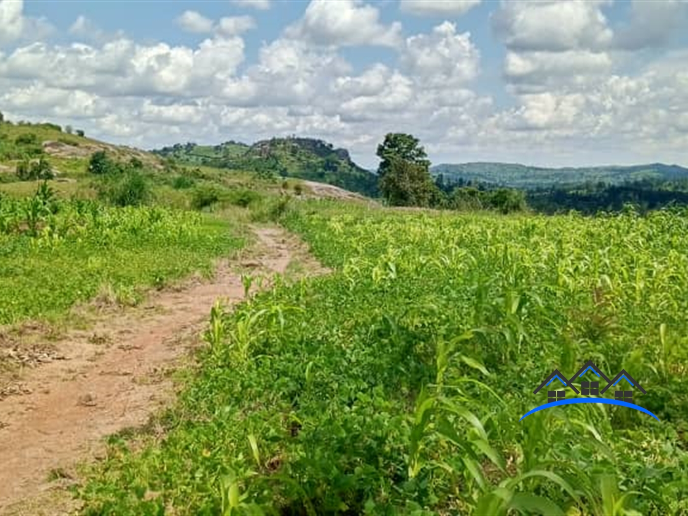 Agricultural Land for sale in Hapuyo Kyegegwa