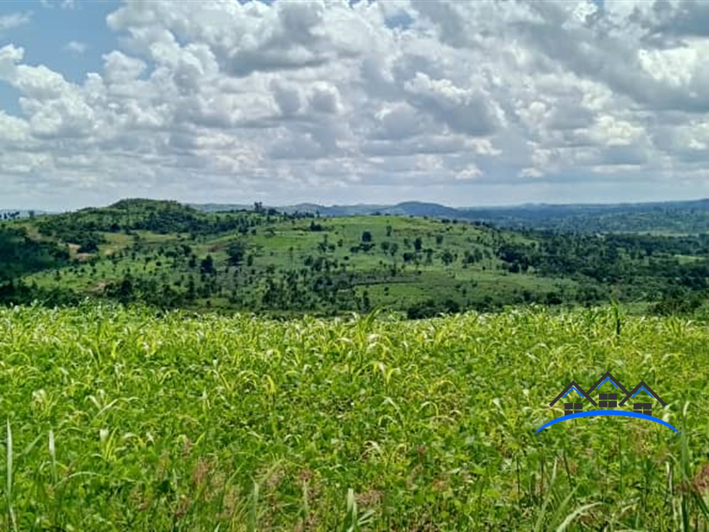 Agricultural Land for sale in Hapuyo Kyegegwa