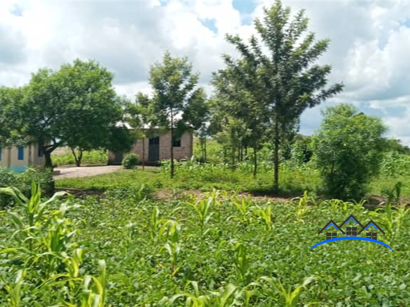 Agricultural Land for sale in Hapuyo Kyegegwa