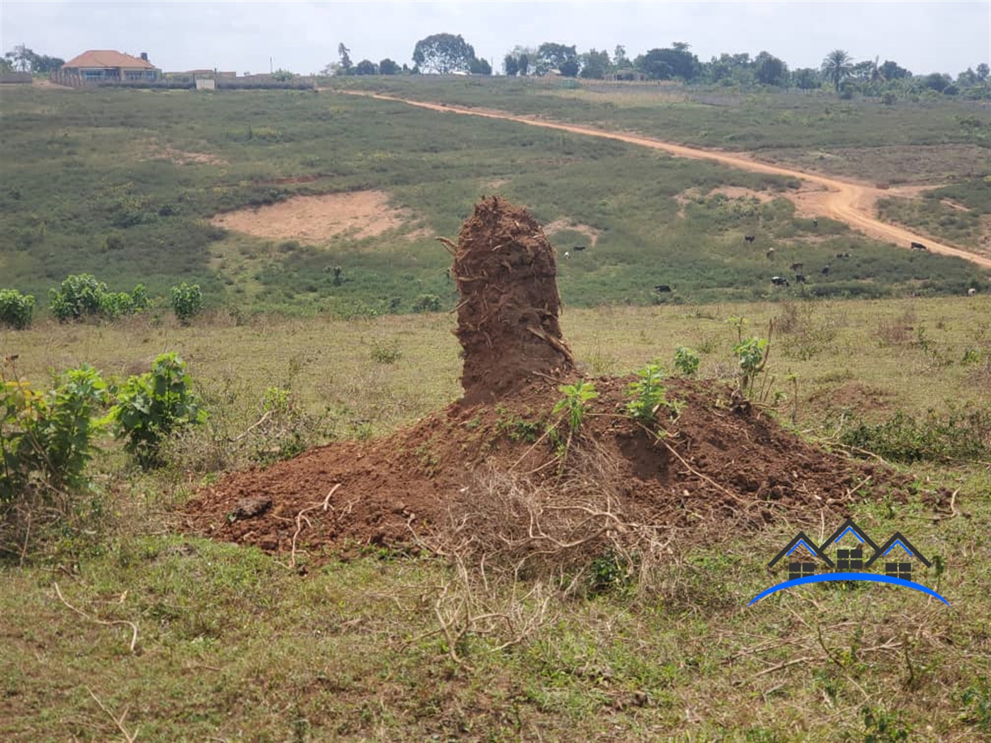 Residential Land for sale in Kasangati Wakiso