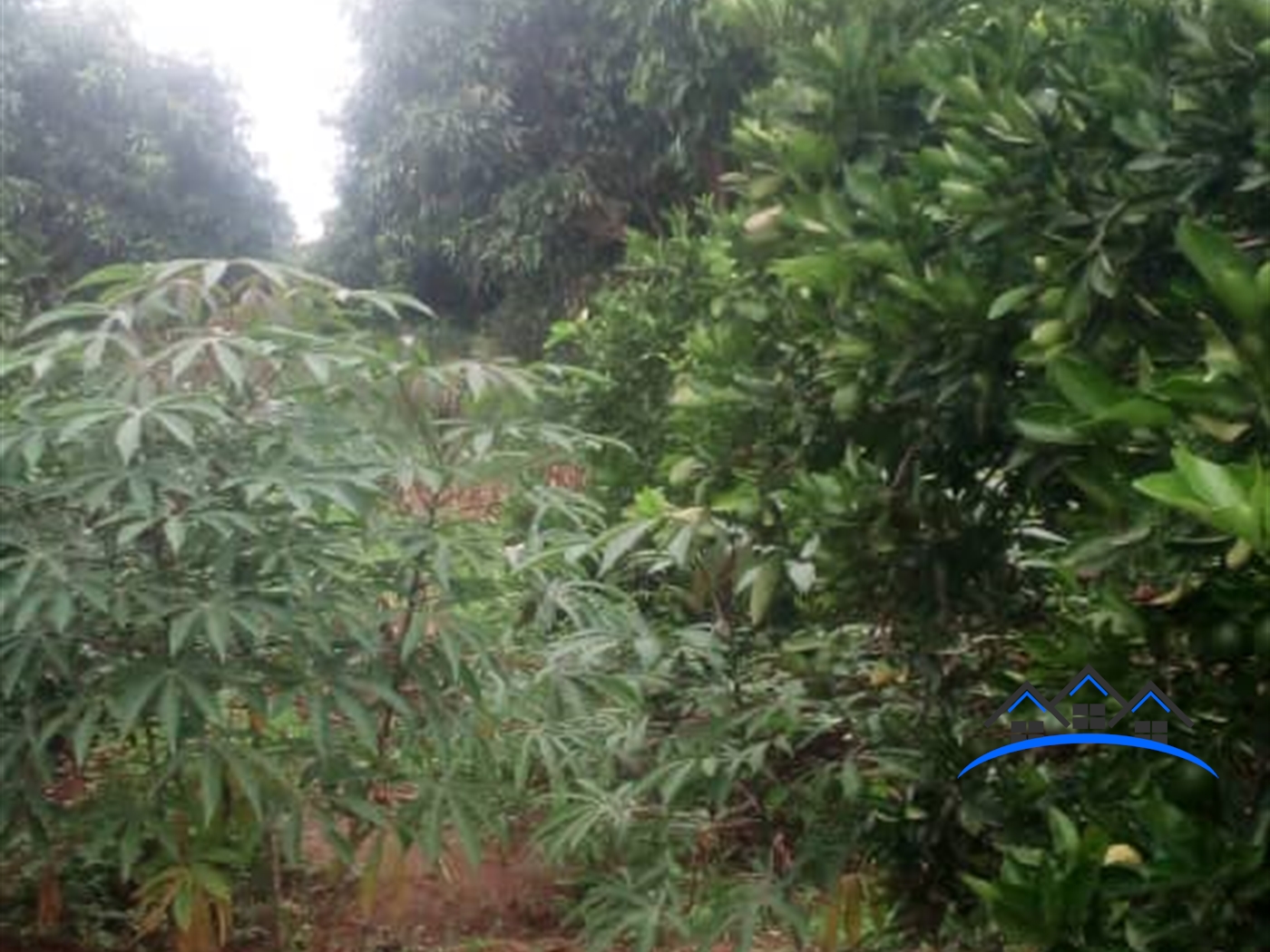 Commercial Land for sale in Bukasa Wakiso