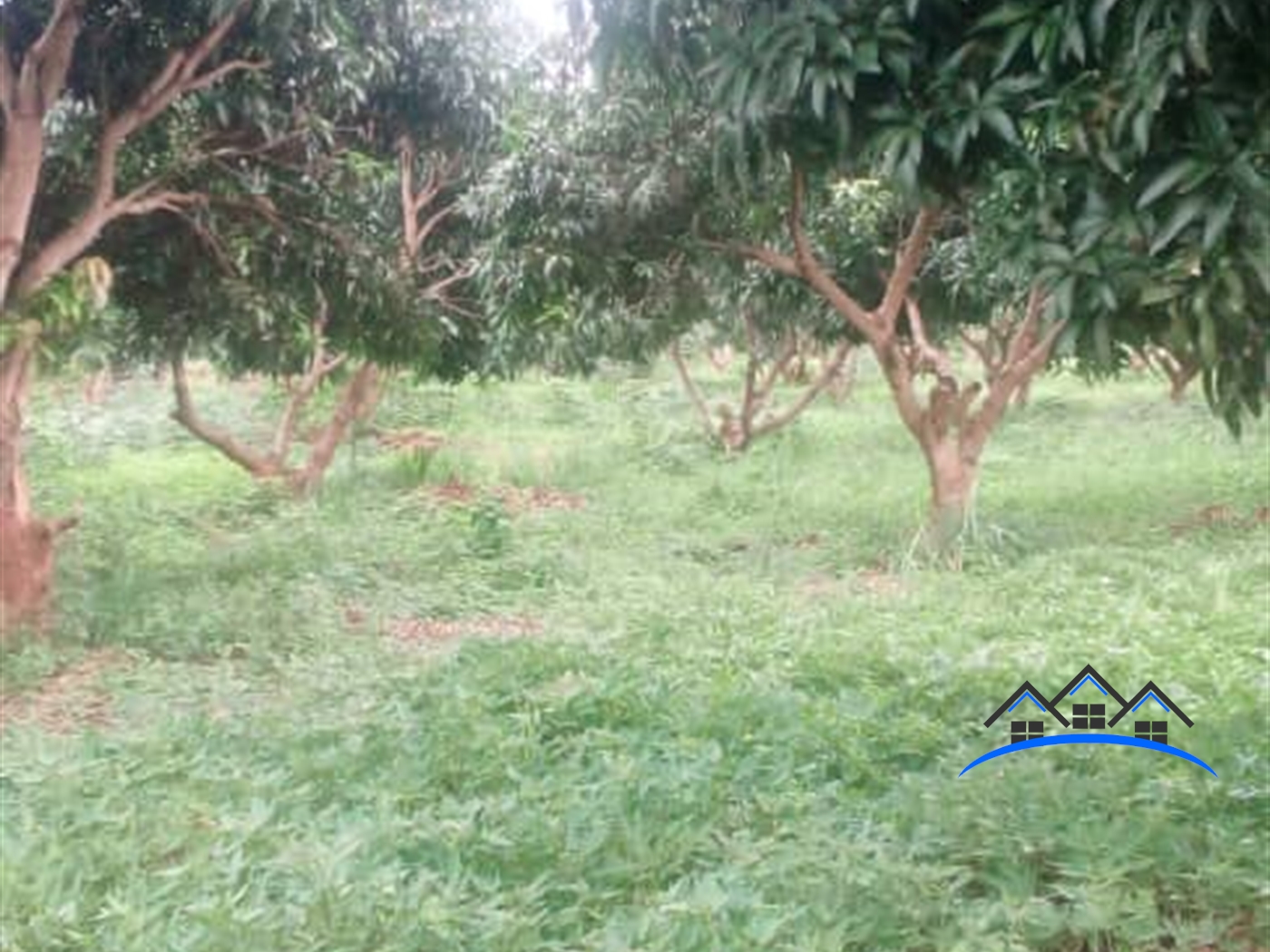 Commercial Land for sale in Bukasa Wakiso