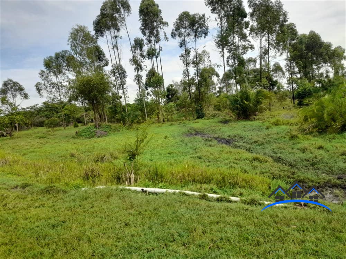 Farm for sale in Kikube Luweero