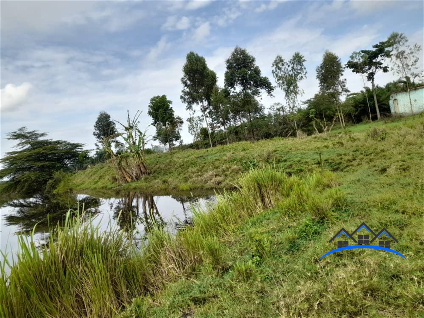 Farm for sale in Kikube Luweero