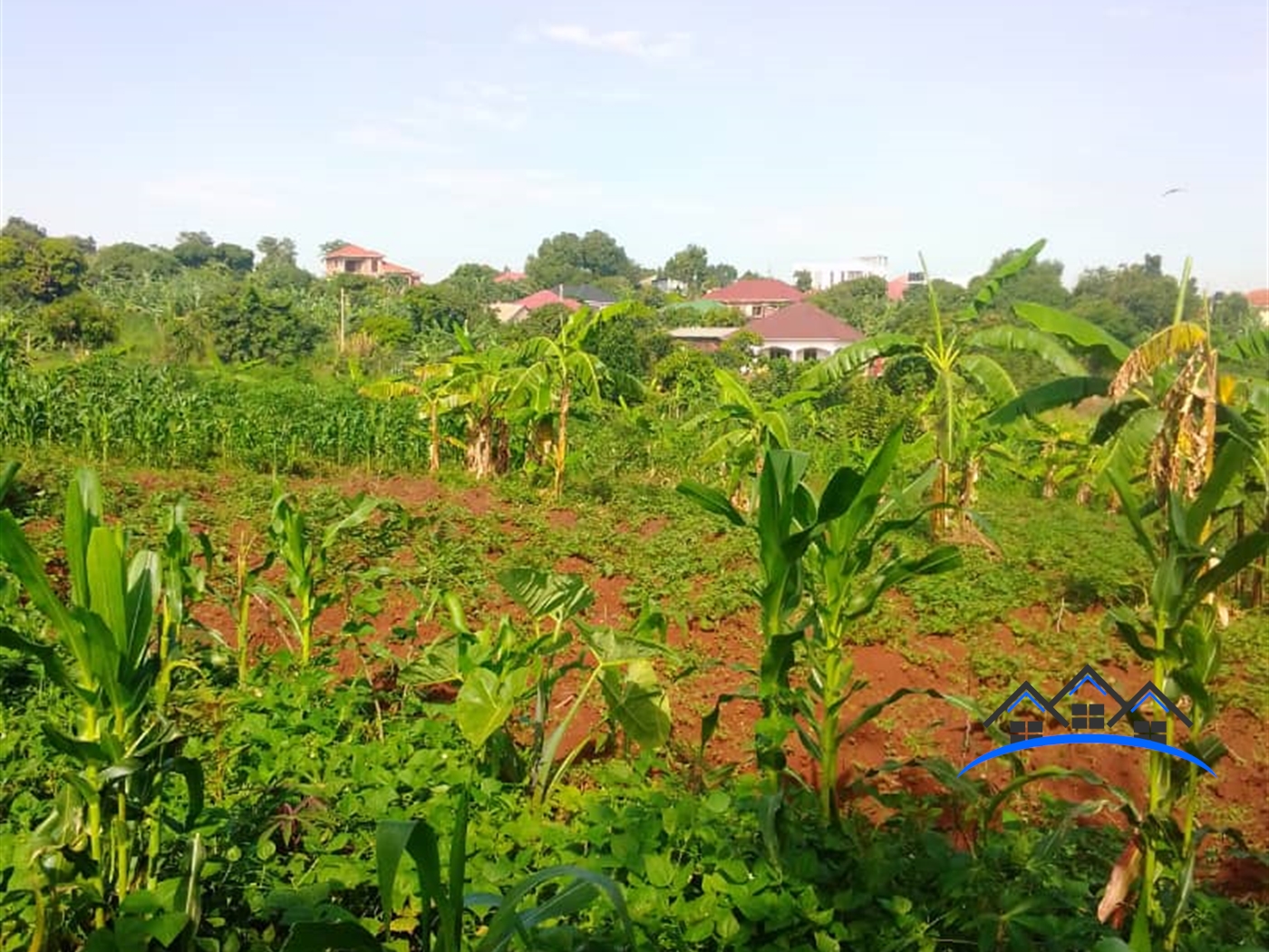 Residential Land for sale in Kajjansi Wakiso