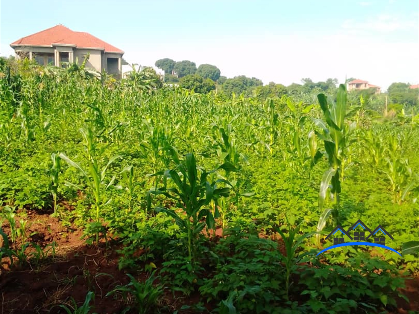 Residential Land for sale in Kajjansi Wakiso