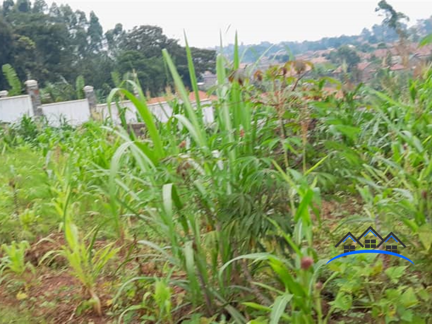 Residential Land for sale in Kiwango Mukono