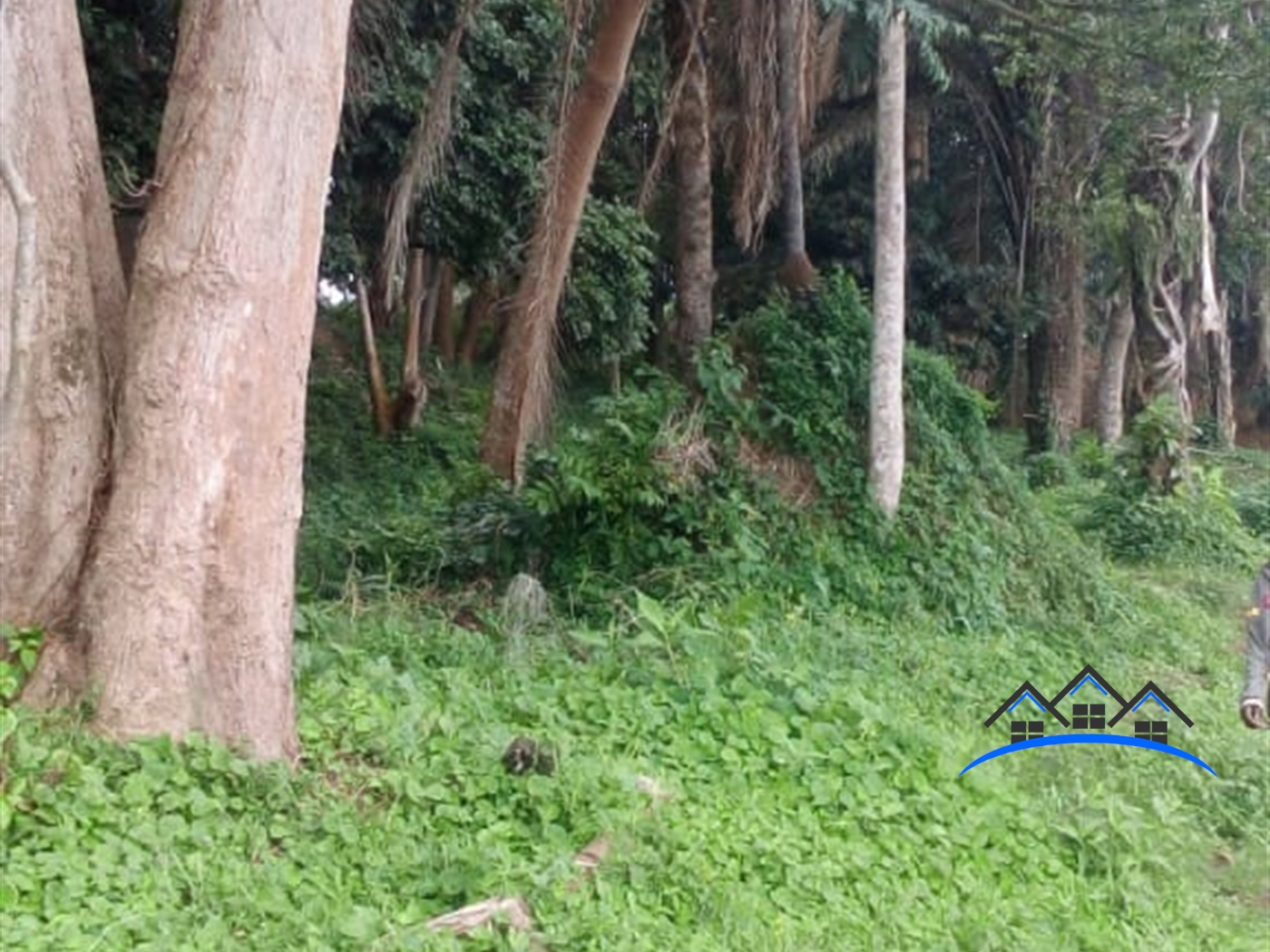 Residential Land for sale in Bukasa Wakiso