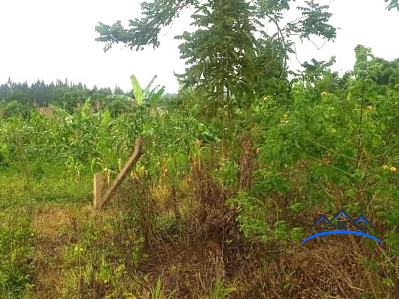 Residential Land for sale in Kira Wakiso