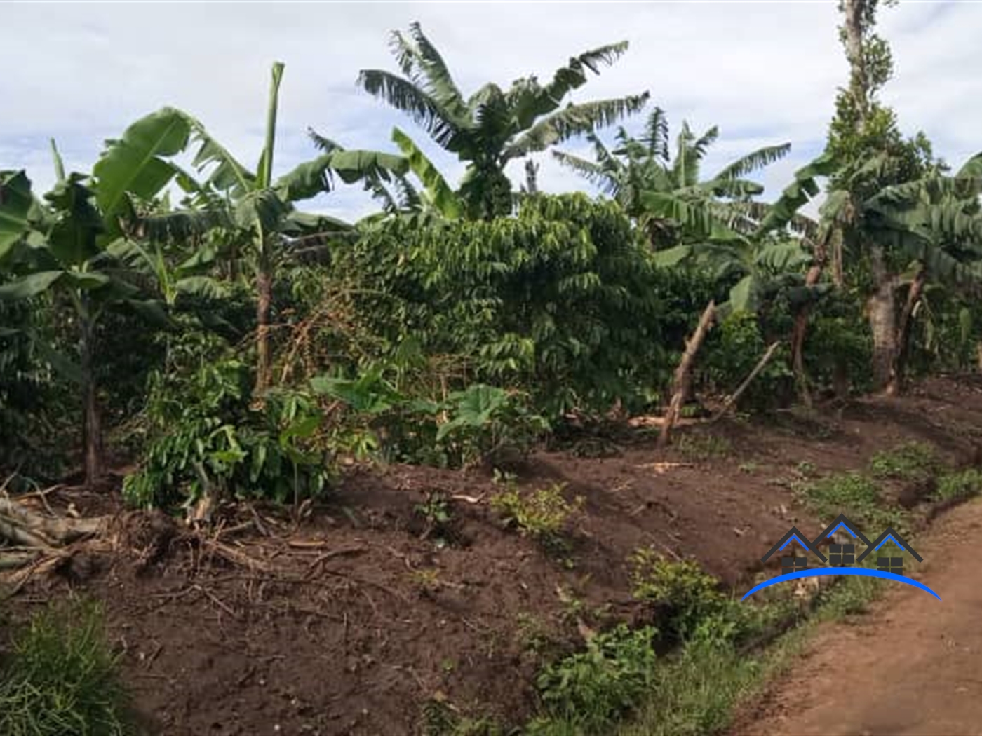 Commercial Land for sale in Busunjju Mityana