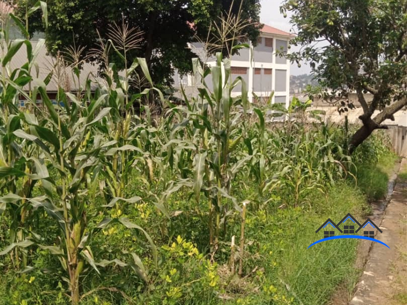 Residential Land for sale in Mutundwe Kampala