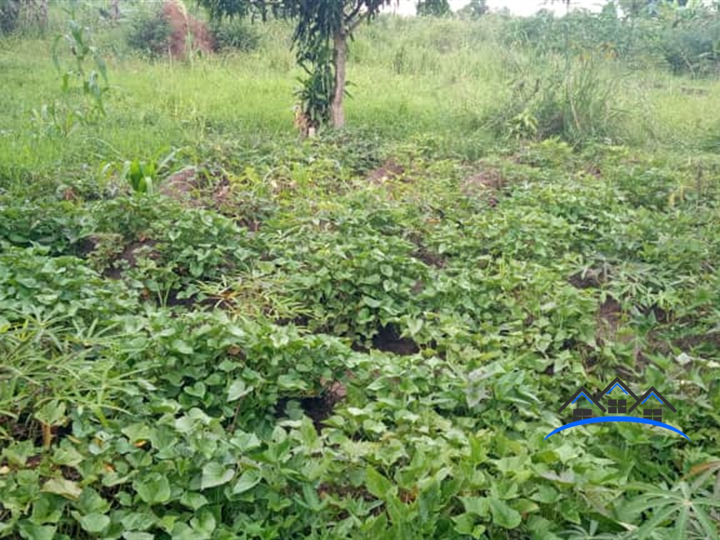 Residential Land for sale in Matugga Wakiso