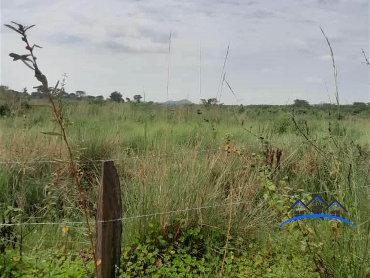 Farm for sale in Kikyuusa Luweero