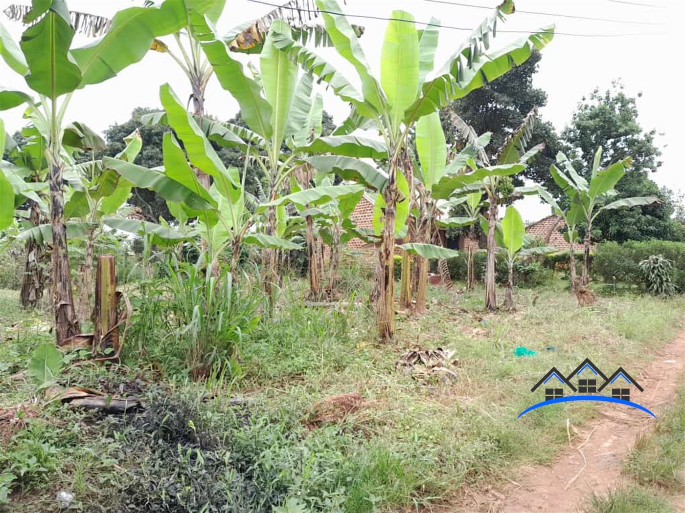 Agricultural Land for sale in Kira Wakiso