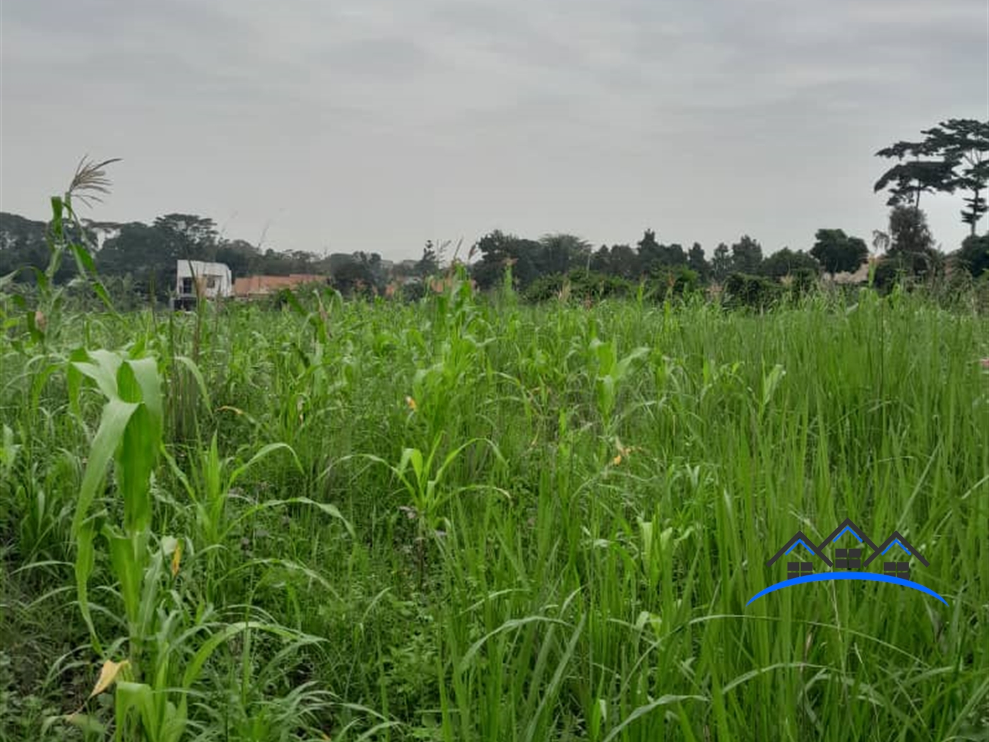 Residential Land for sale in Masoli Wakiso