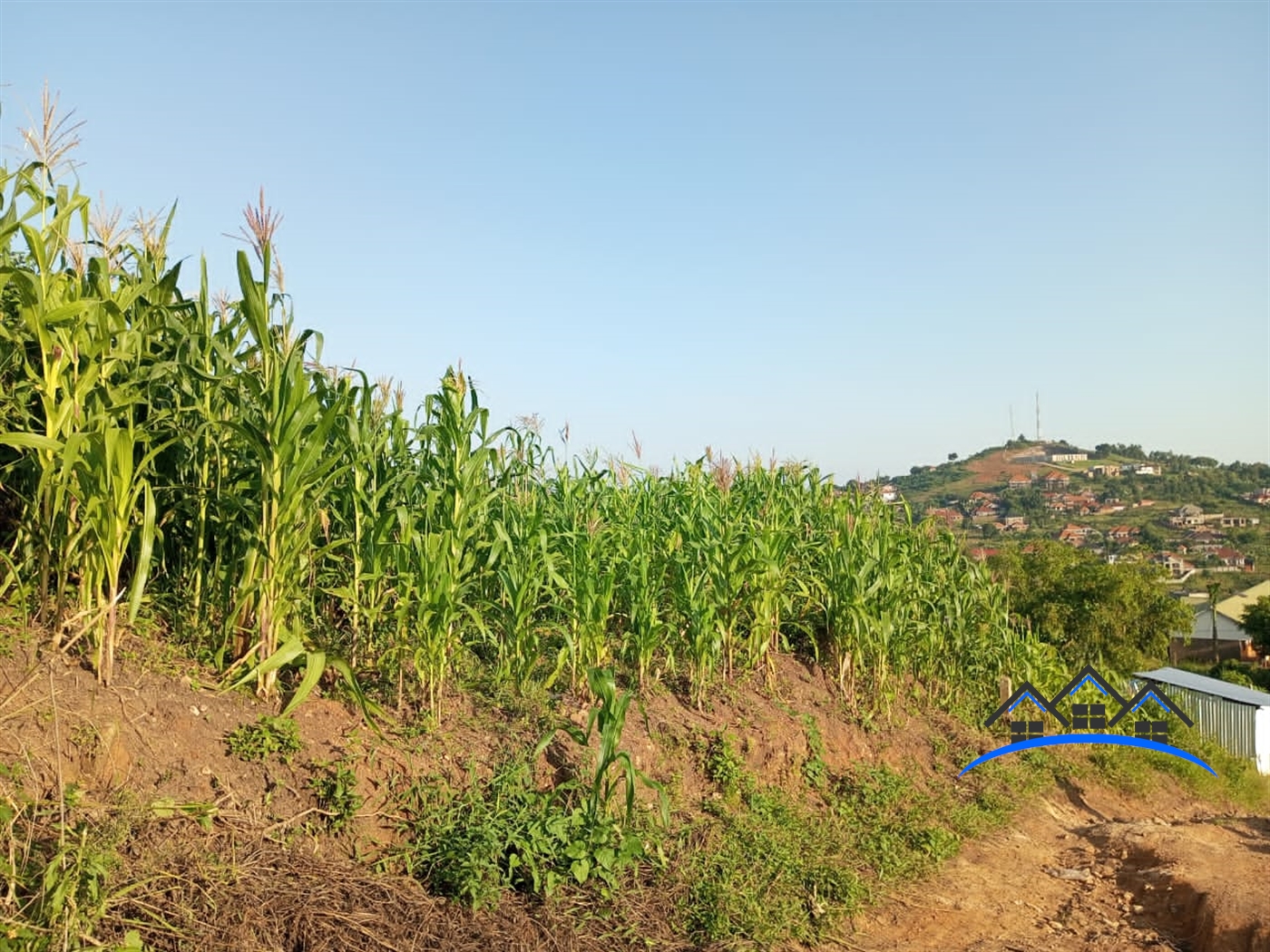 Residential Land for sale in Sonde Wakiso