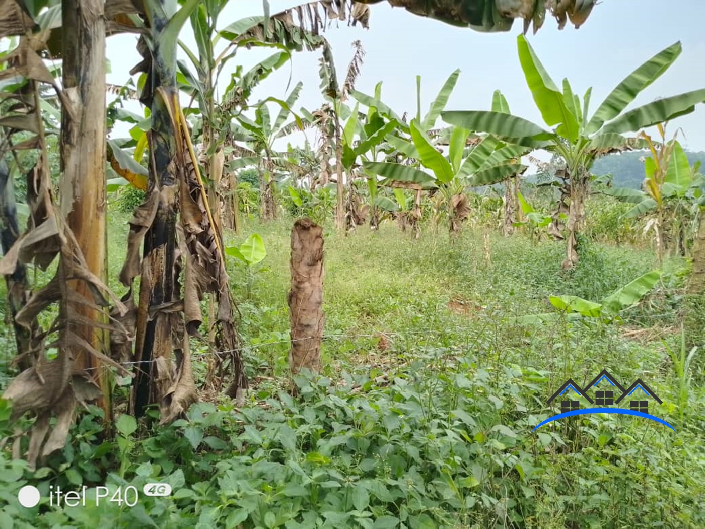 Agricultural Land for sale in Gayaza Wakiso