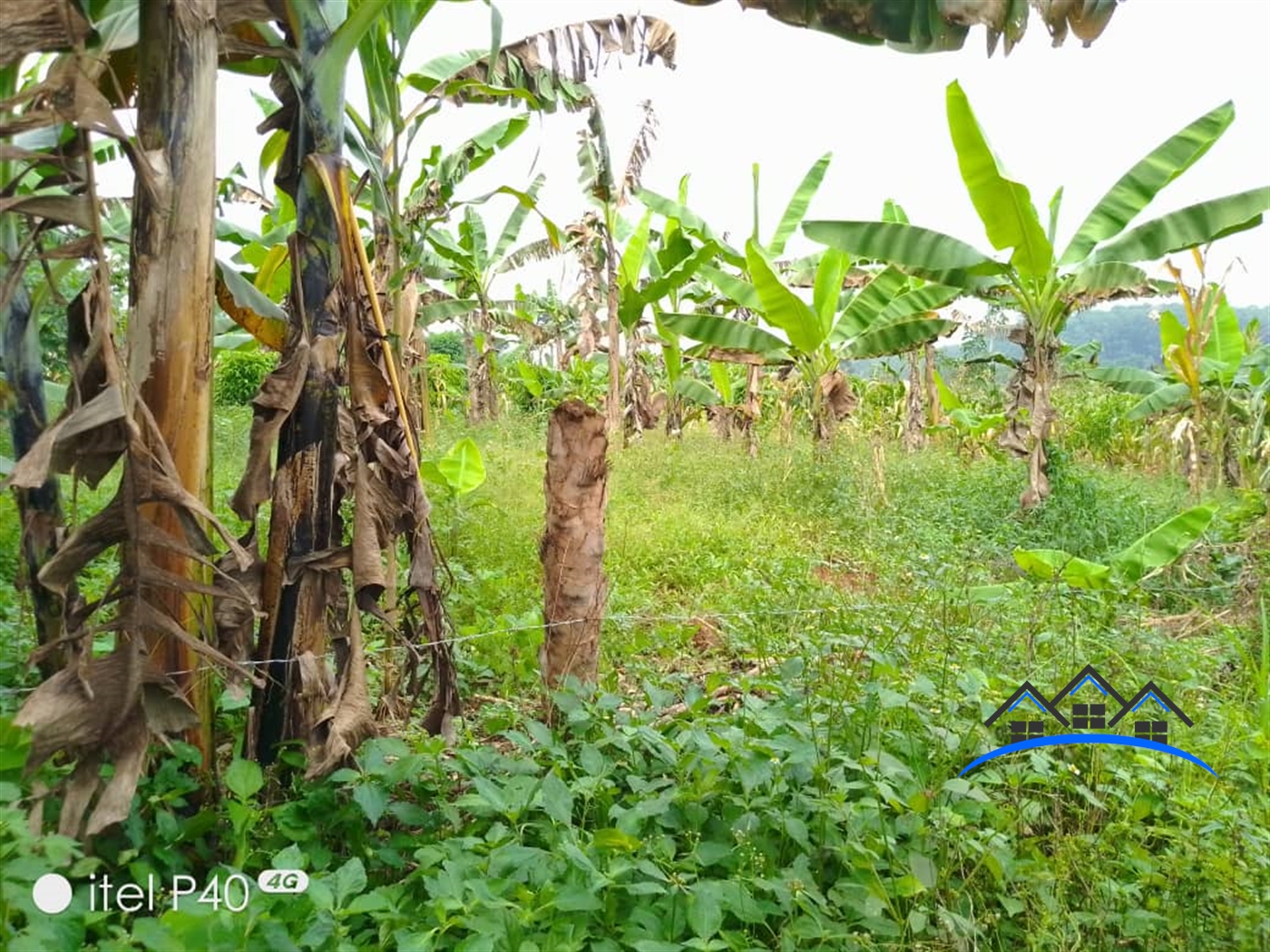 Agricultural Land for sale in Gayaza Wakiso