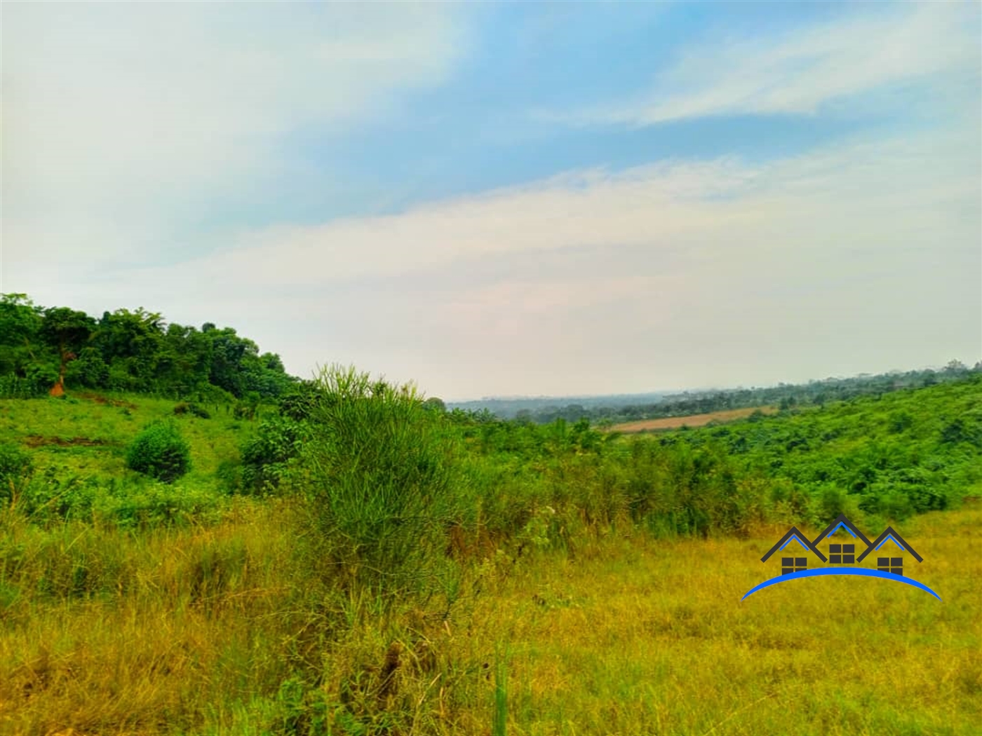 Farm for sale in Nakassajja Mukono