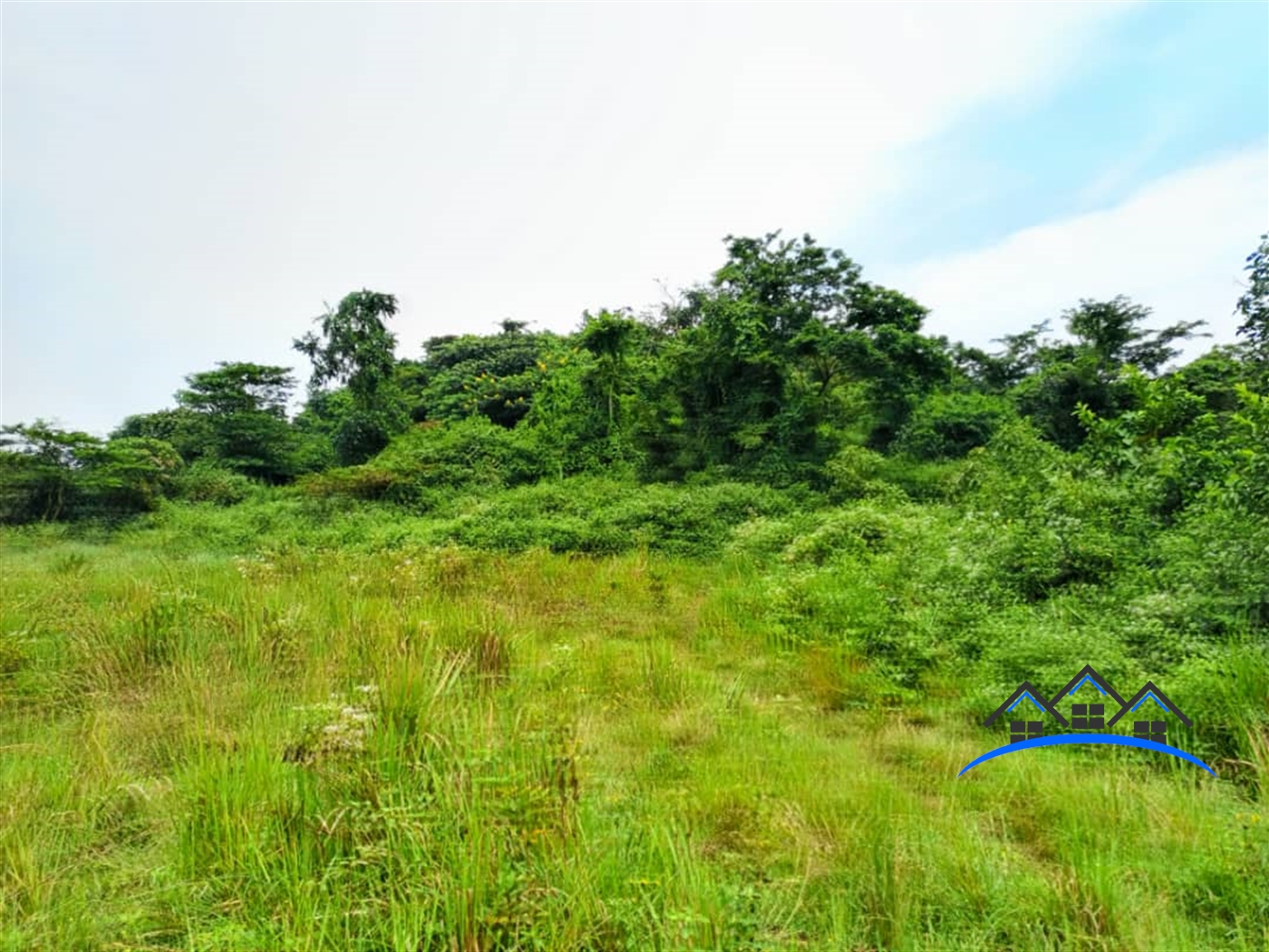 Farm for sale in Nakassajja Mukono