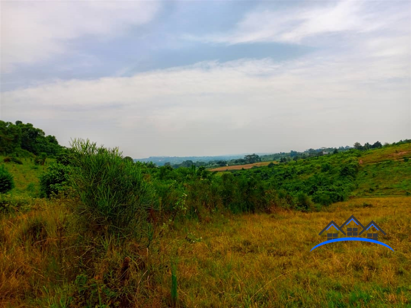 Farm for sale in Nakassajja Mukono