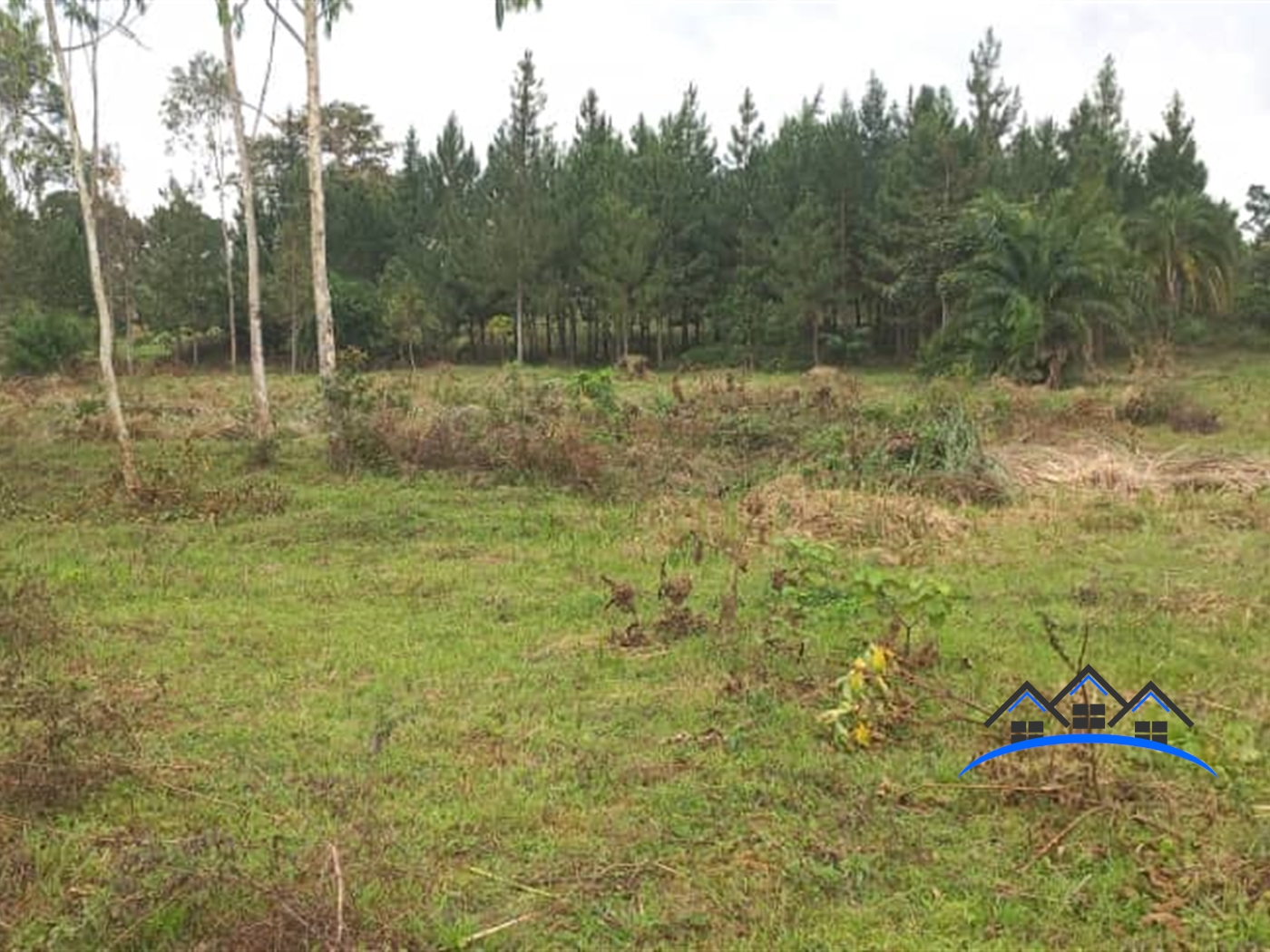 Residential Land for sale in Kitovu Wakiso