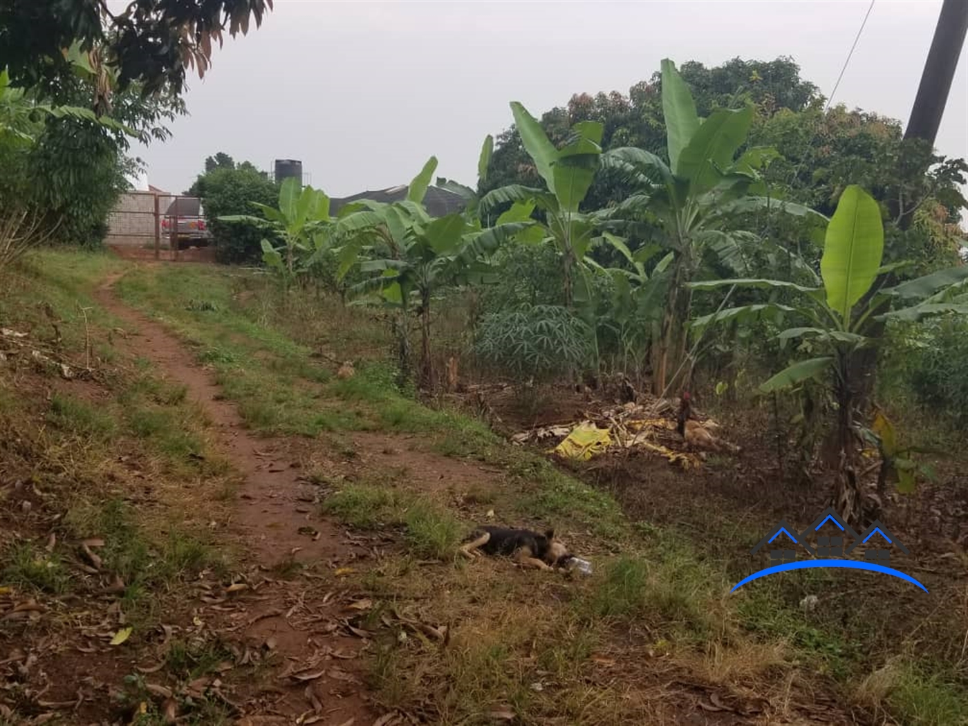 Residential Land for sale in Kigo Kampala