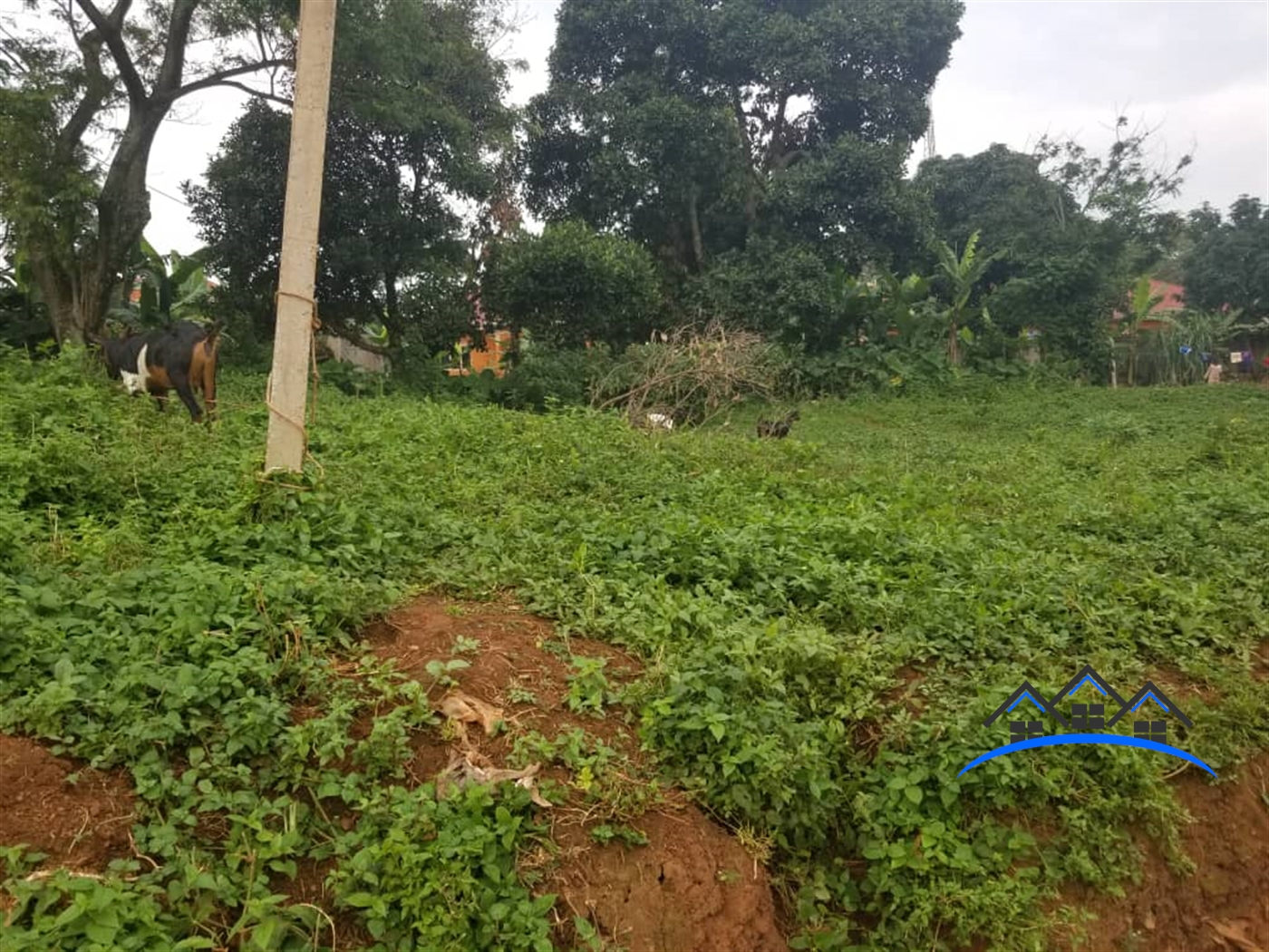 Commercial Land for sale in Kigo Kampala