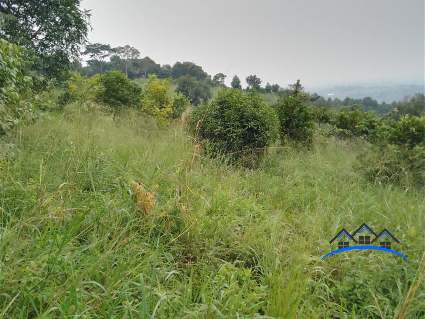 Agricultural Land for sale in Bumpenje Wakiso