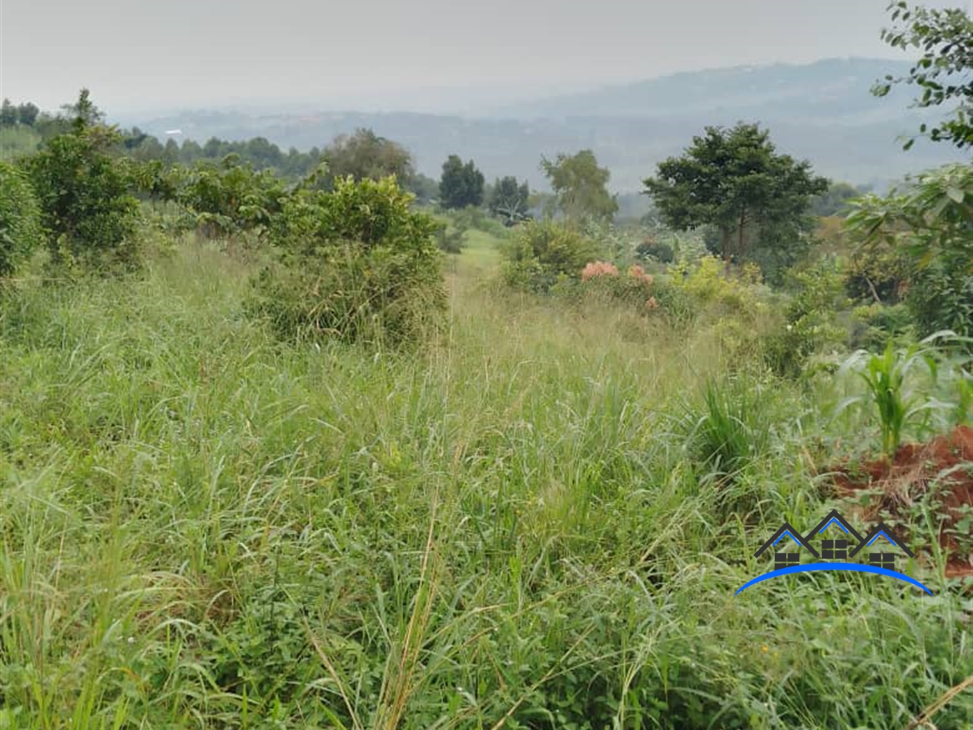 Agricultural Land for sale in Bumpenje Wakiso