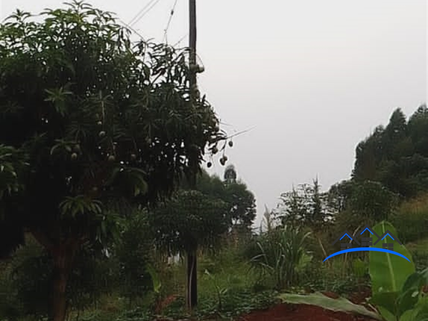 Agricultural Land for sale in Bumpenje Wakiso