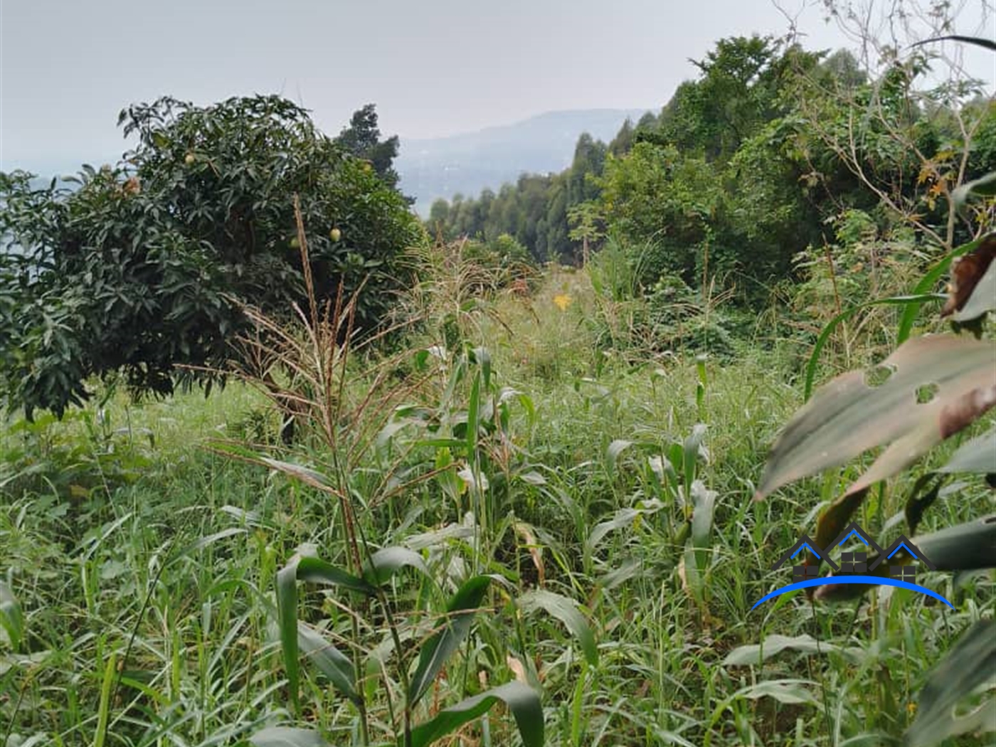 Agricultural Land for sale in Bumpenje Wakiso