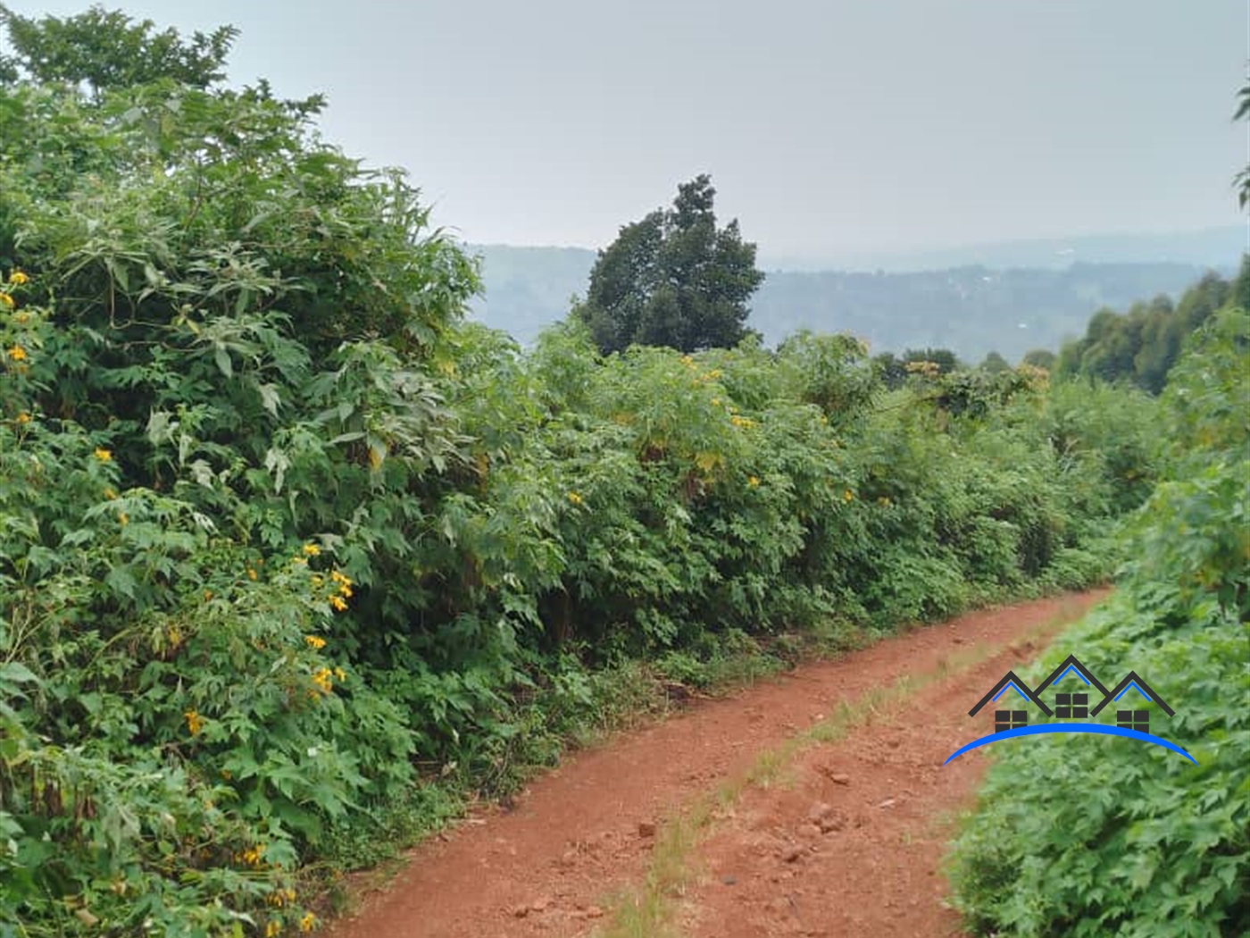 Agricultural Land for sale in Bumpenje Wakiso