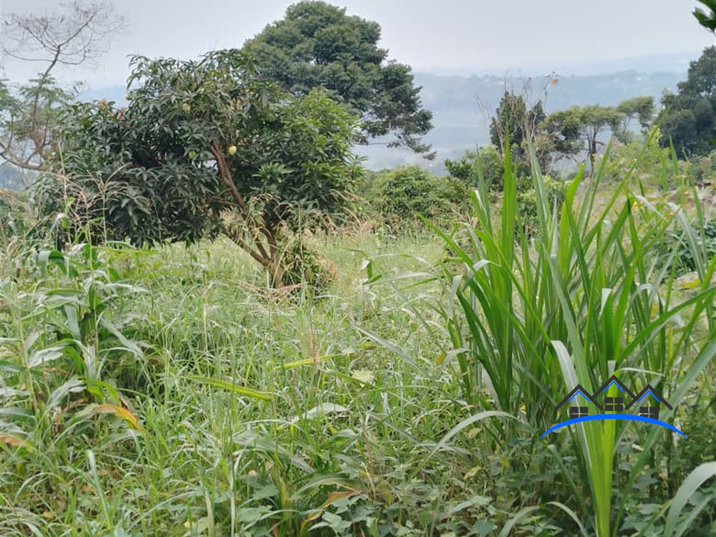 Agricultural Land for sale in Bumpenje Wakiso