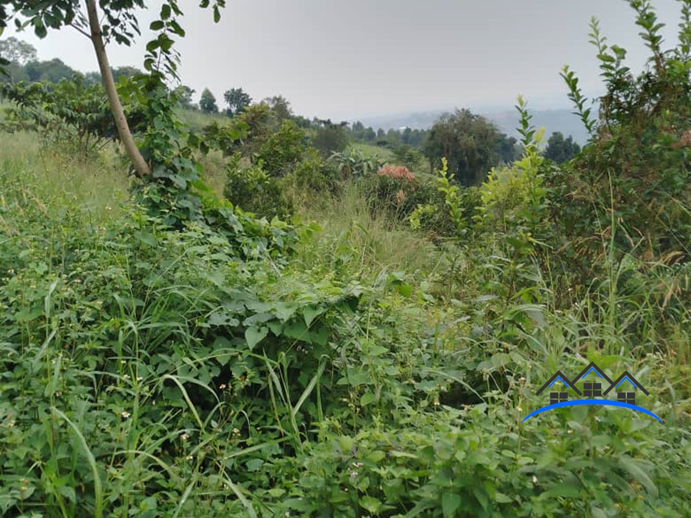 Agricultural Land for sale in Bumpenje Wakiso