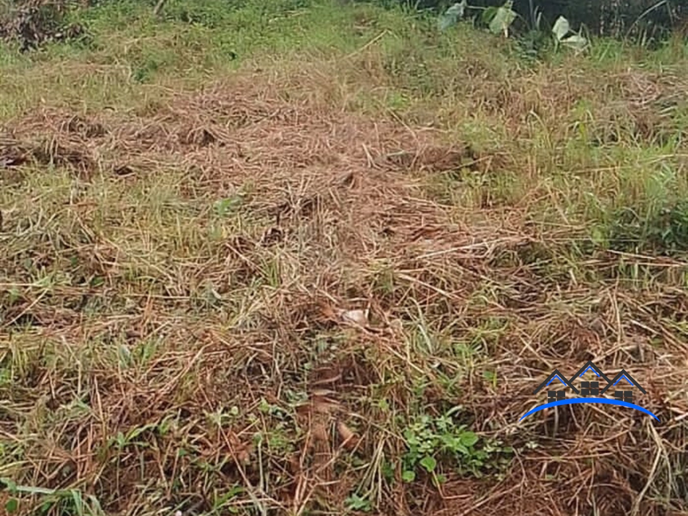 Residential Land for sale in Lutaba Wakiso