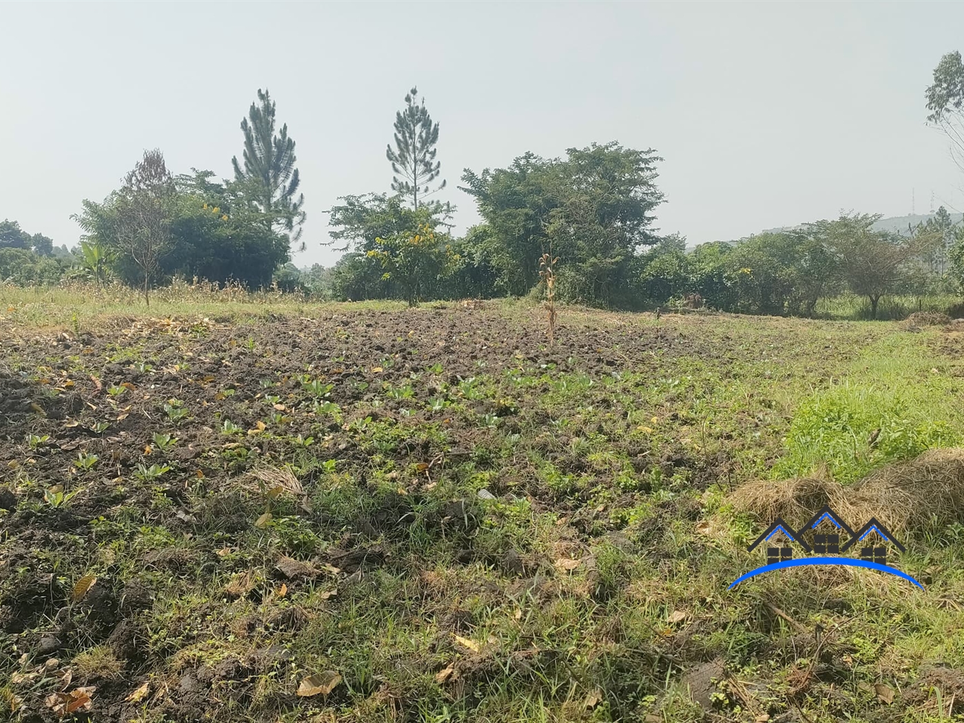 Farm for sale in Busunjju Mityana