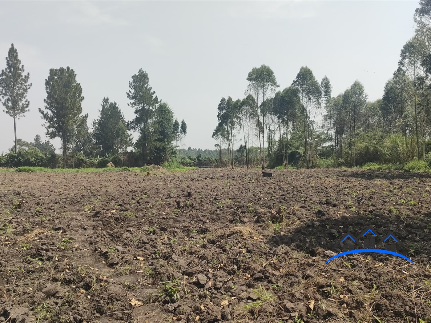 Farm for sale in Busunjju Mityana